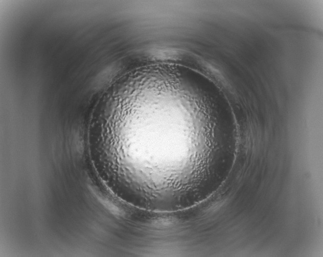 X0000067000402200603241347