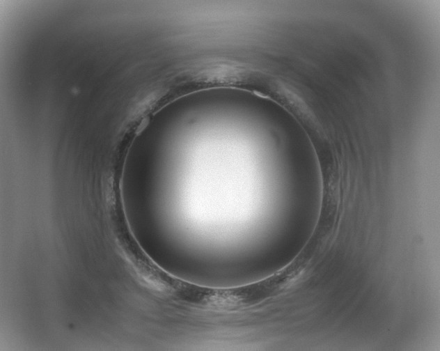 X0000067000403200603241347