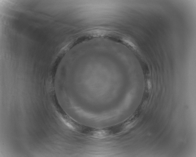 X0000067000411200603241347