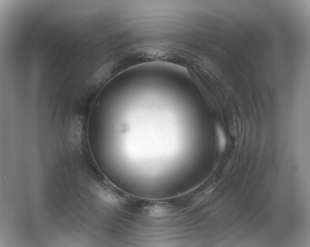 X0000067000412200603241347