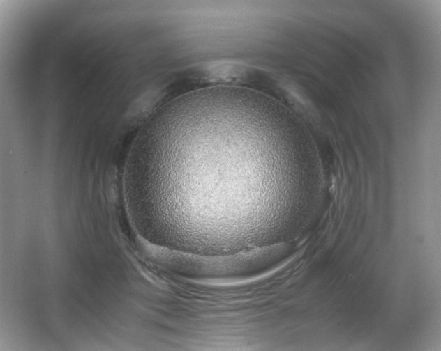 X0000067000413200603241347