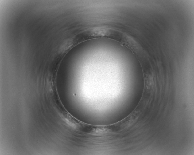 X0000067000414200603241347