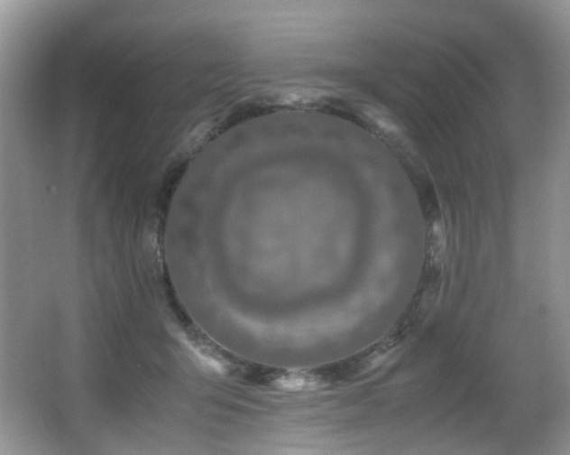 X0000067000415200603241347