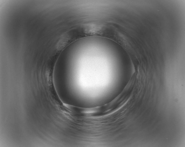 X0000067000420200603241347