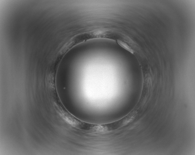 X0000067000421200603241347
