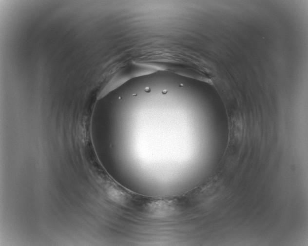 X0000067000422200603241347