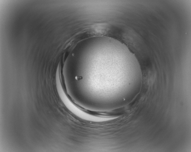 X0000067000425200603241347