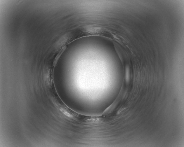 X0000067000428200603241347