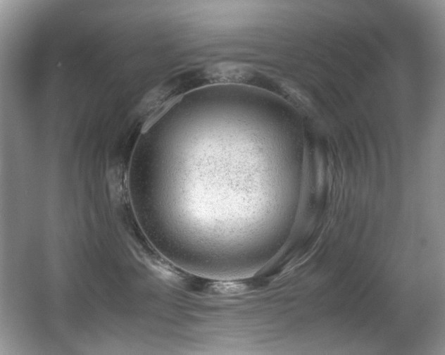 X0000067000429200603241347