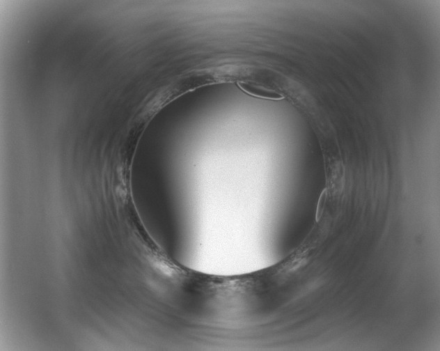 X0000067000430200603241347