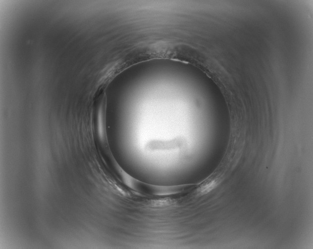 X0000067000432200603241347