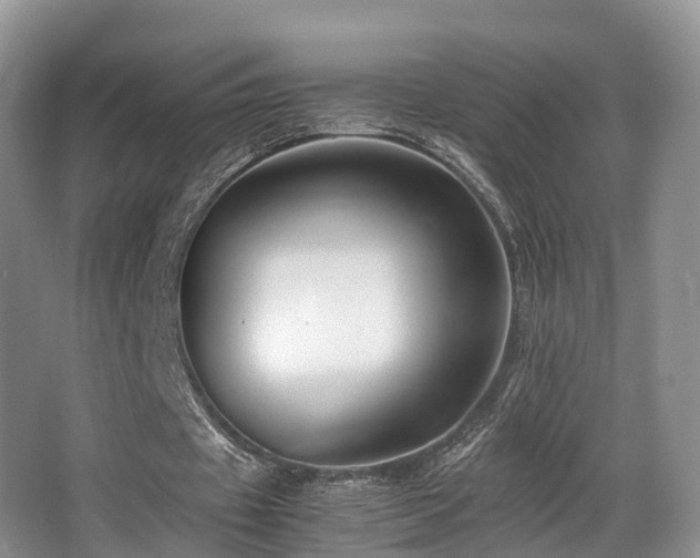 X0000067000433200603241346