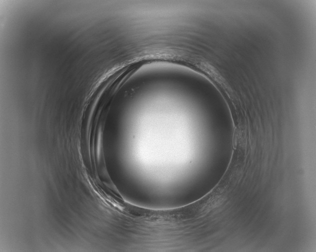 X0000067000434200603241346