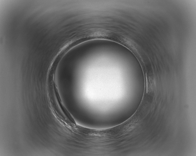 X0000067000435200603241346
