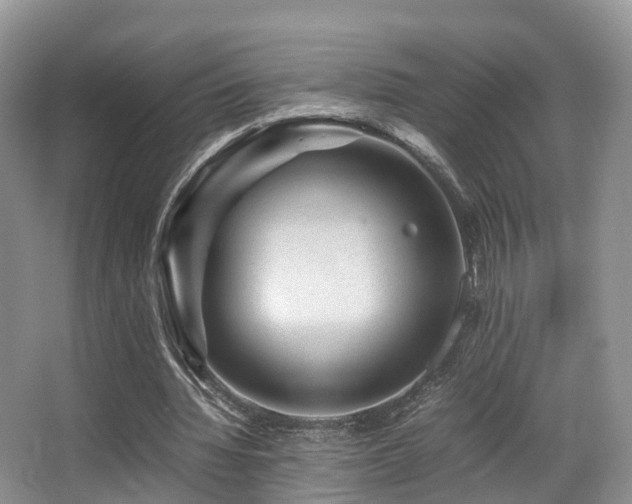 X0000067000436200603241346