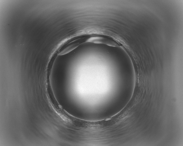 X0000067000438200603241346