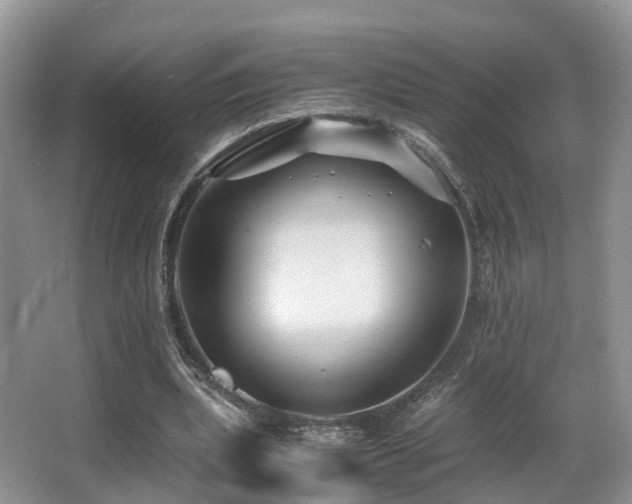 X0000067000439200603241346