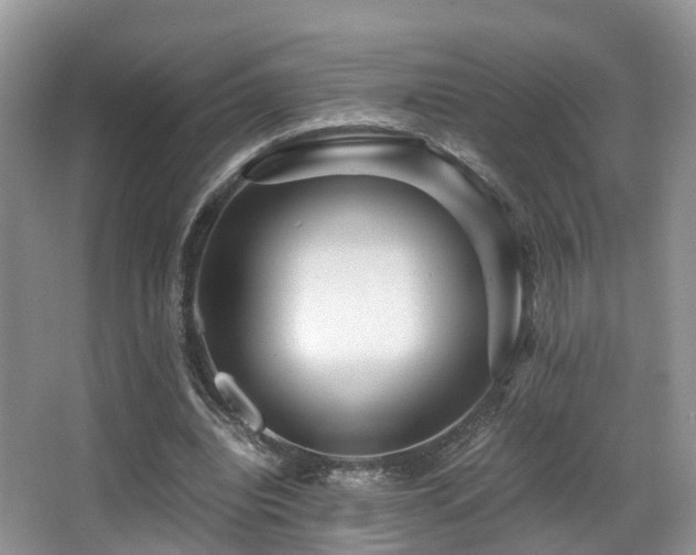 X0000067000440200603241346