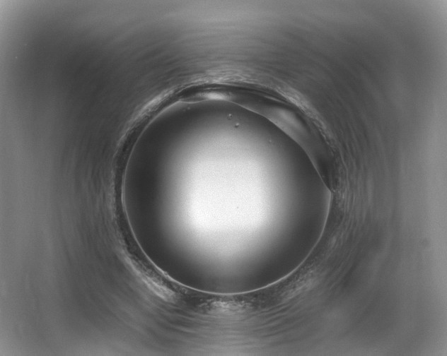 X0000067000442200603241346