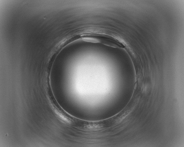 X0000067000445200603241346