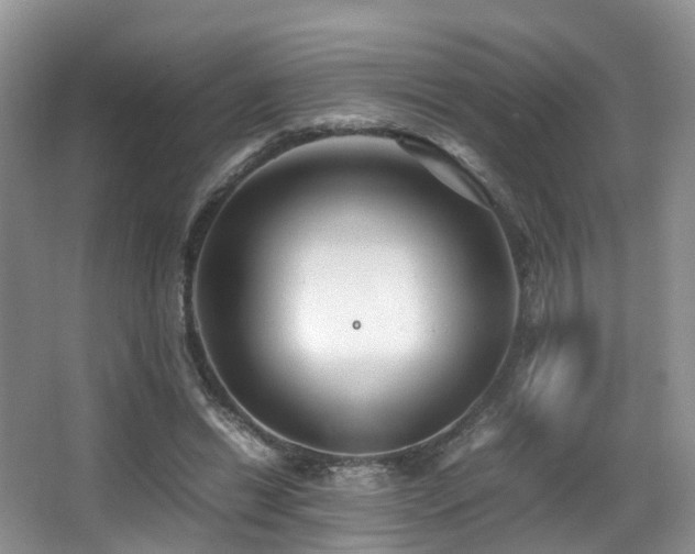 X0000067000446200603241346