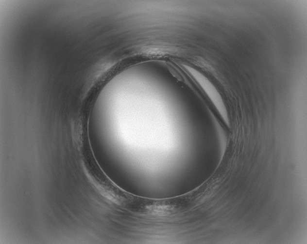 X0000067000448200603241346
