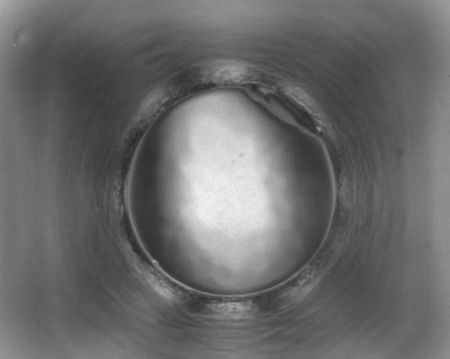 X0000067000449200603241346