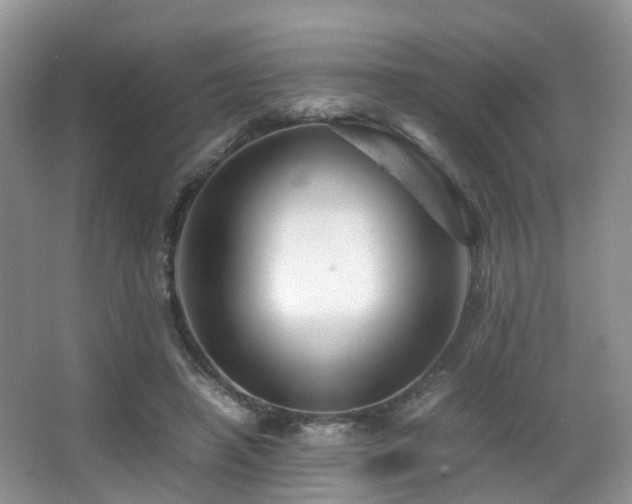 X0000067000450200603241346