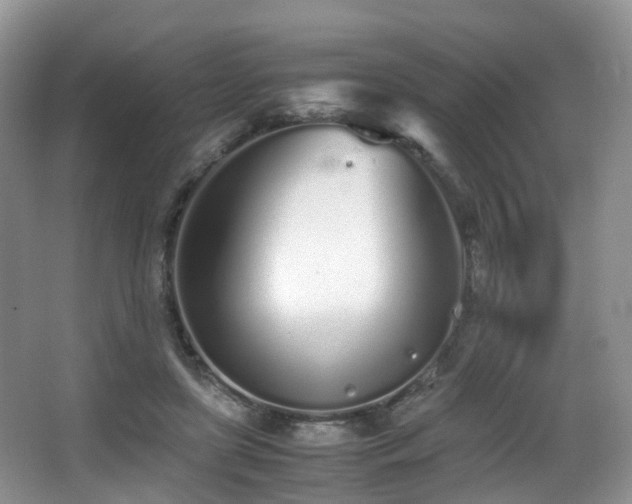 X0000067000451200603241346
