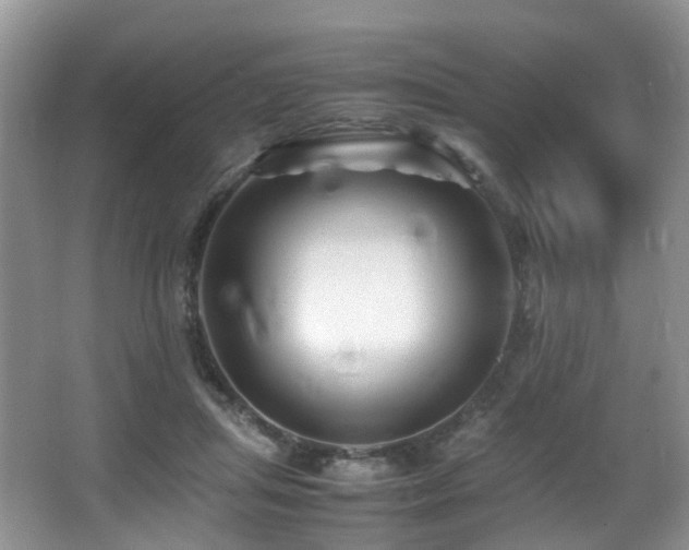 X0000067000455200603241346
