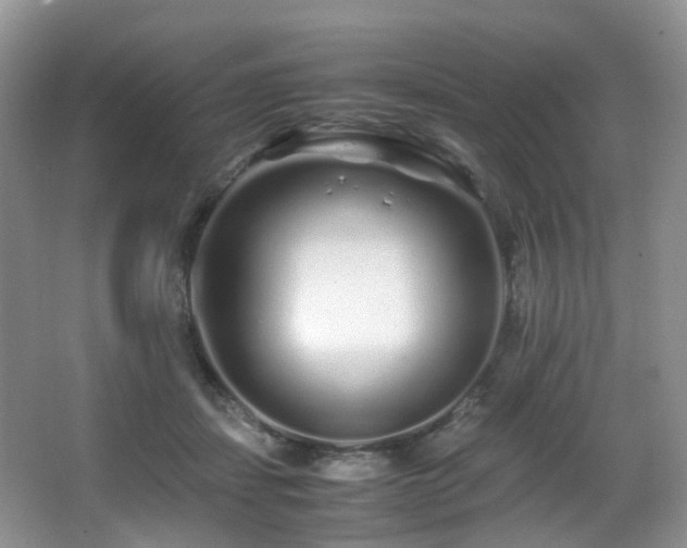 X0000067000459200603241346