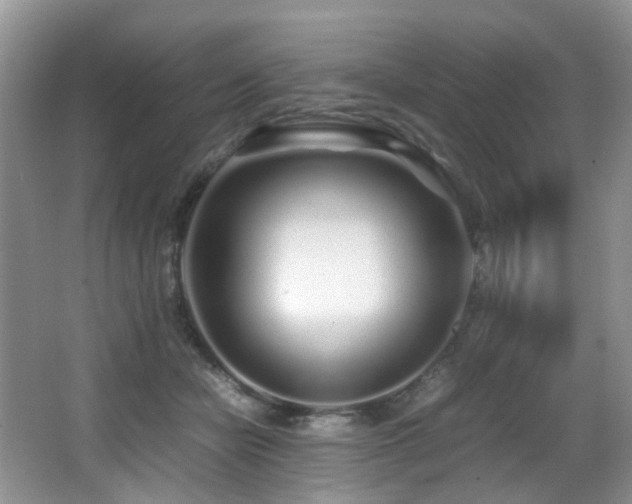 X0000067000462200603241346
