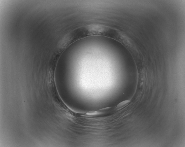 X0000067000463200603241346