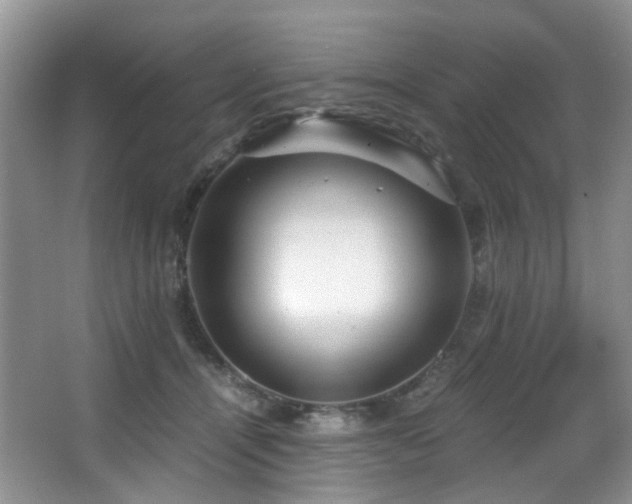 X0000067000464200603241347