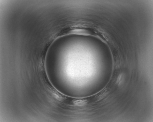 X0000067000465200603241347