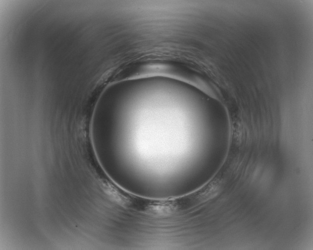 X0000067000466200603241347