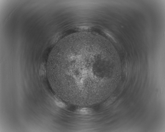 X0000067000467200603241347