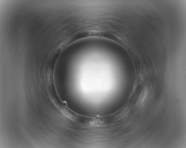 X0000067000468200603241347