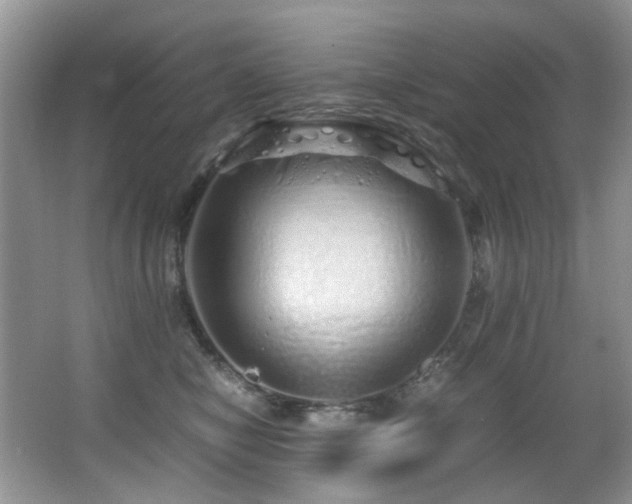 X0000067000470200603241347