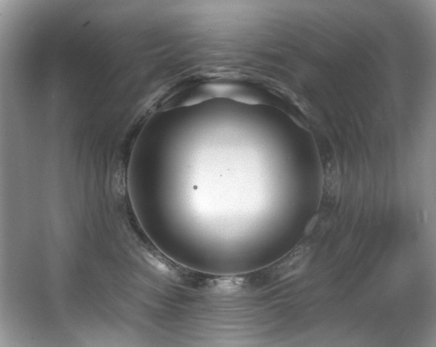 X0000067000474200603241347