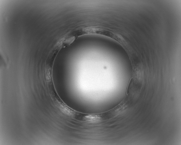 X0000067000477200603241347