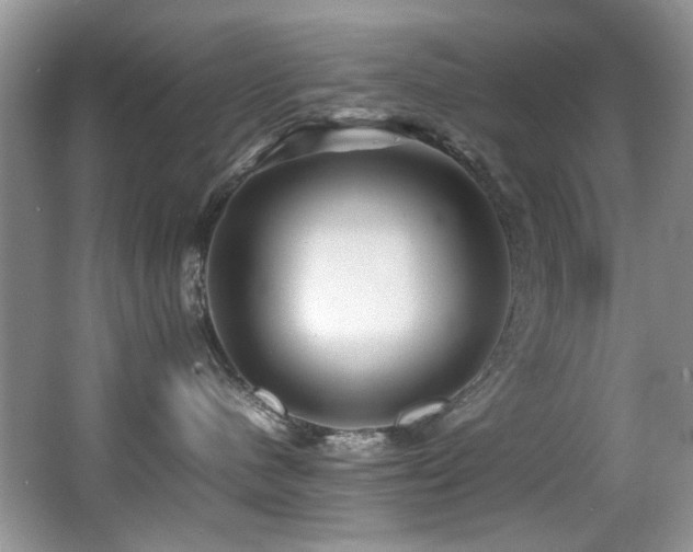 X0000067000480200603241347