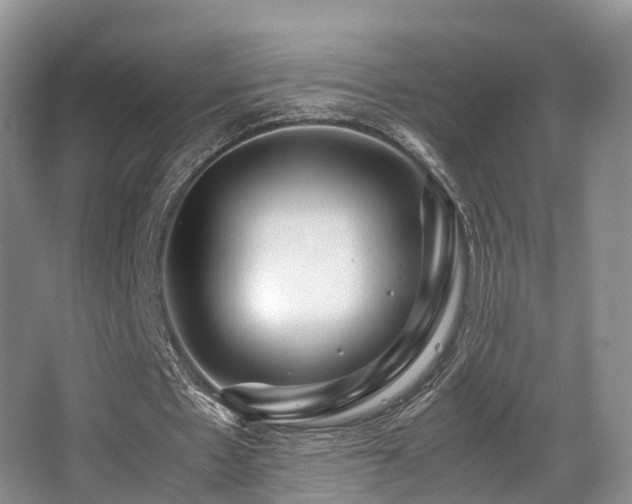 X0000067000481200603241346