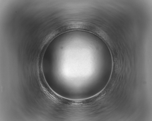 X0000067000482200603241346