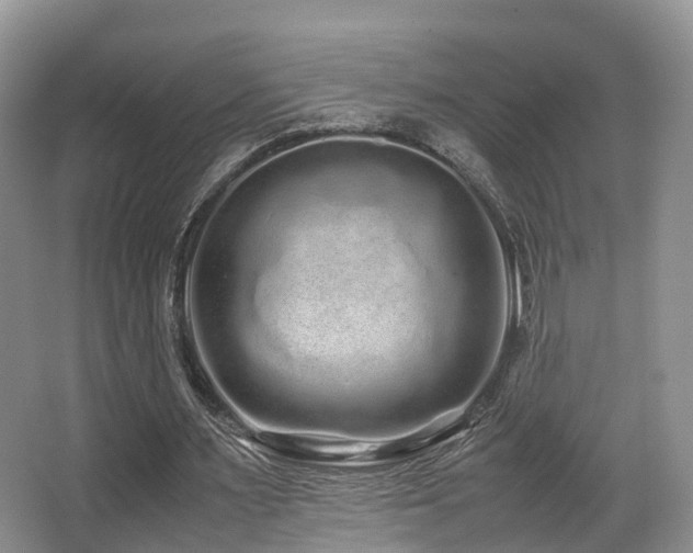 X0000067000483200603241346