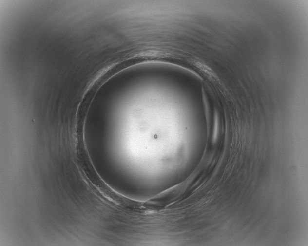 X0000067000484200603241346
