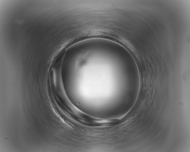 X0000067000485200603241346