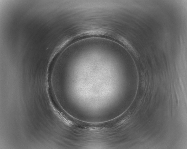 X0000067000486200603241346