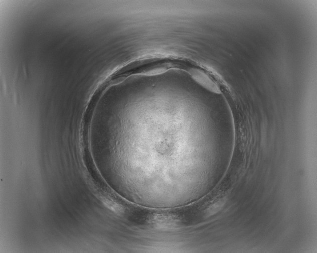 X0000067000487200603241346