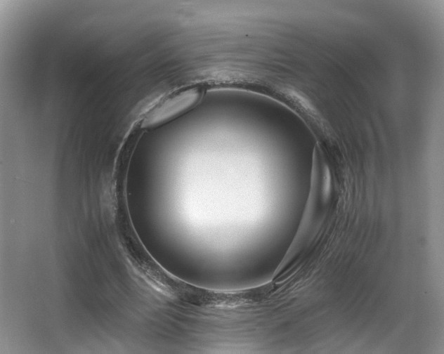 X0000067000488200603241346